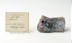Foto von Torbernit (NHMW-MIN-Ad669)